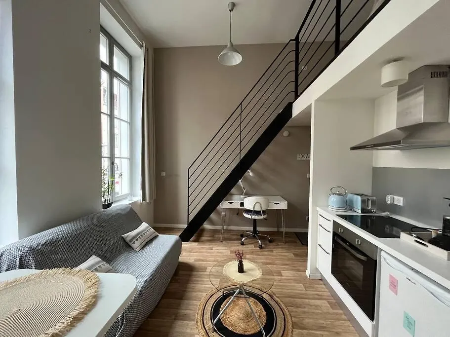 Apartament Tres Bel Appartement A 2 Pas Du Theatre Sebastopol Lille